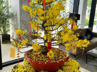 Lan can inox 304 kính- cầu thang gỗ căm xe - Cầu thang đá hoa cương 10