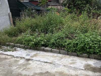 Bán đất Điong quán Hoa động 0