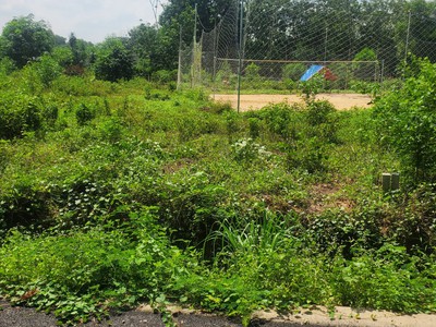 Chính chủ tôi cần bán nhanh lô đất ra lộc đầu xuân cho khách 2