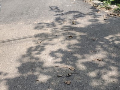 Chính chủ tôi cần bán nhanh lô đất ra lộc đầu xuân cho khách 4