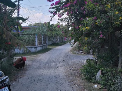 Cho thuê nhà nguyên căn ấp 1 đức hòa đông thị trấn đức hòa Long an 1