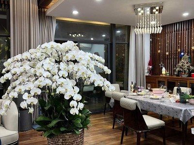 Bán tòa nhà mặt phố cầu giấy 245m2x10 tầng, mặt tiền 22m, nhà lô góc vị trí đắc địa, giá 210 tỷ 1