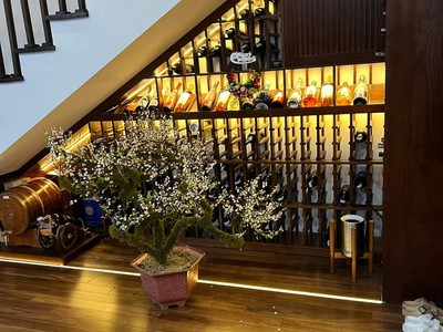 Bán tòa nhà mặt phố cầu giấy 245m2x10 tầng, mặt tiền 22m, nhà lô góc vị trí đắc địa, giá 210 tỷ 2