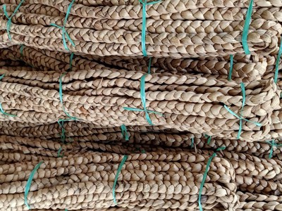 Cần bán dây   bín lục bình khô 1