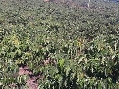 Cần bán 5 sào 8 đất vườn 0