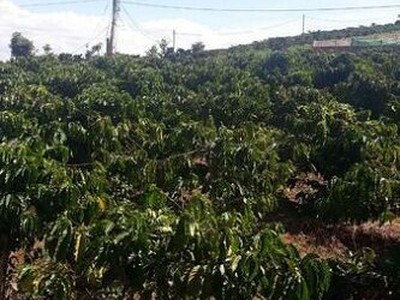 Cần bán 5 sào 8 đất vườn 2