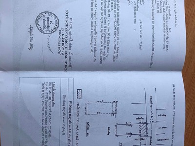 Nhà chính chủ cực đẹp ngay phường 16 - quận gò vấp - hồ chí minh 4