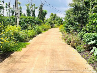 Chính chủ cần bán mảnh đất tại ea kao, thành phố buôn ma thuột, đắk lắk 3