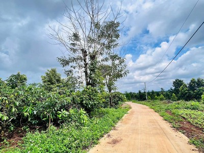 Chính chủ cần bán mảnh đất tại ea kao, thành phố buôn ma thuột, đắk lắk 2