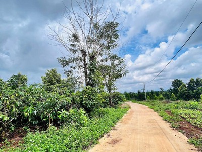 Chính chủ cần bán mảnh đất tại ea kao, thành phố buôn ma thuột, đắk lắk 4