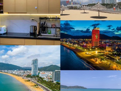 Chính chủ cần bán căn hộ cao cấp view biển tms quy nhơn 1