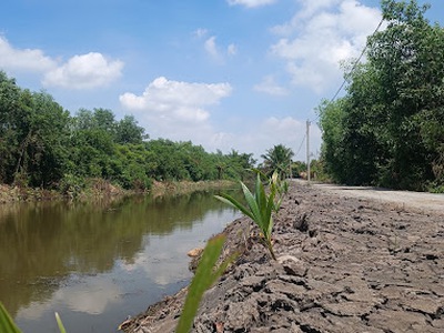 Chính chủ bán lô đất ngay trường đại học Tân tạo Mt dt824 1