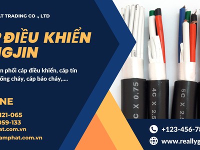 Cáp điều khiển SANGJIN nhiễu lõi tiêu chuẩn Hàn Quốc ISO 9001 2