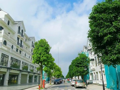 Tổng hợp quỹ căn liền kề, biệt thự giá rẻ nhất tại vinhomes ocean park tháng 2/2023 2