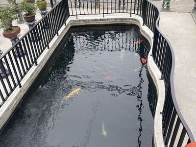 Siêu biệt thự cẩm lệ, mới đẹp hiện đại, hồ cá coi, tiểu cánh, 600m2, nở hậu, chỉ 8.5 tỷ tlcc 1