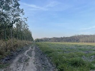 Bán đất ấp 4, tân hưng, bầu bàng, bình dương 1