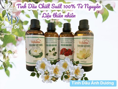 Ánh Dương Store gợi ý những combo tinh dầu giúp kháng khuẩn, thanh lọc không khí, cải thiện sức khỏe 1