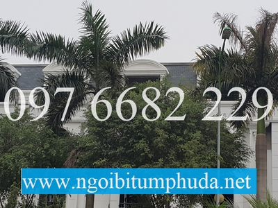 Ngói bitum CNX asphalt shingle là gì 8