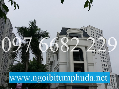 Ngói bitum CNX asphalt shingle là gì 10