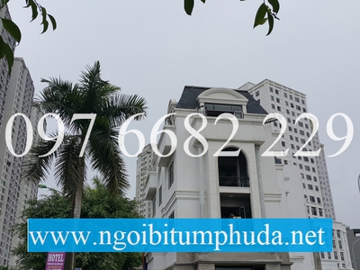 Ngói bitum CNX asphalt shingle là gì 11