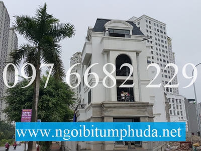 Ngói bitum CNX asphalt shingle là gì 12