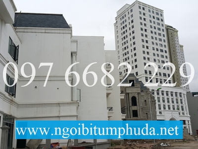 Ngói bitum CNX asphalt shingle là gì 15