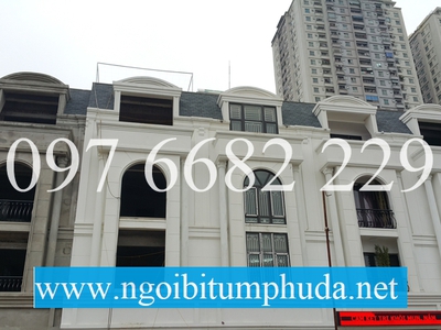 Ngói bitum CNX asphalt shingle là gì 16