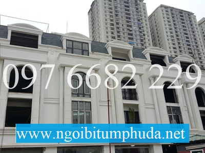 Ngói bitum CNX asphalt shingle là gì 17