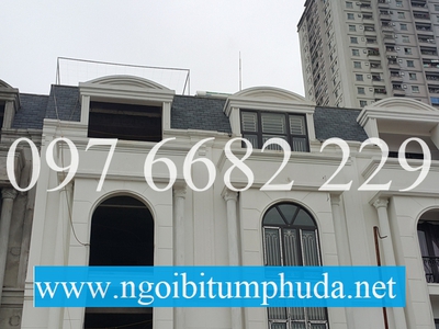 Ngói bitum CNX asphalt shingle là gì 18