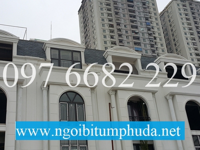 Ngói bitum CNX asphalt shingle là gì 19