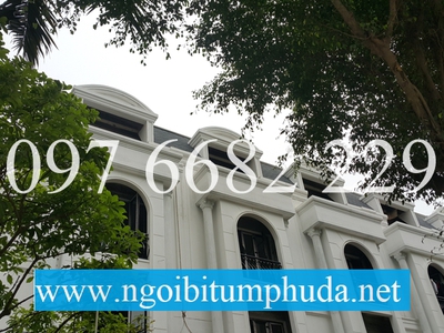 Ngói bitum CNX asphalt shingle là gì 3