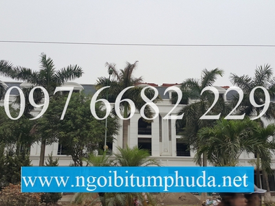 Ngói bitum CNX asphalt shingle là gì 5