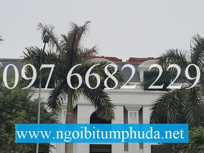 Ngói bitum CNX asphalt shingle là gì 6