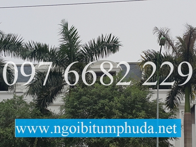 Ngói bitum CNX asphalt shingle là gì 7