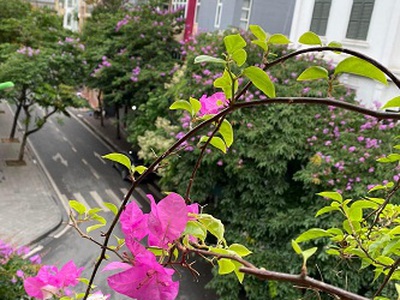 Chính chủ cần cho thuê phòng tầng 4 địa chỉ trần quang diệu, ô chợ dừa, quận đống đa 2