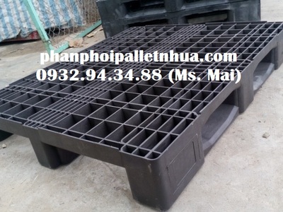 Phân phối pallet nhựa giá rẻ tại Đăk Nông, giao hàng tận nơi 2