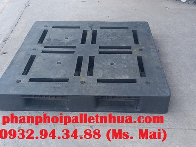 Phân phối pallet nhựa giá rẻ tại Đăk Nông, giao hàng tận nơi 5