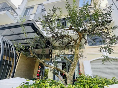 Biệt thự Verosa park đường  Liên phường DT 85m , 3 lầu khu vip 0