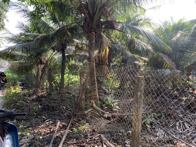 Bán đất đường ô tô, ấp Mỹ Hưng, xã Mỹ Phong, TP Mỹ Tho. 2