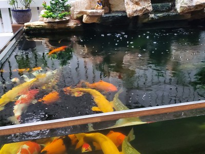 Bán biệt thự phường Thảo điền, quận 2 TP Hồ Chí Minh 8