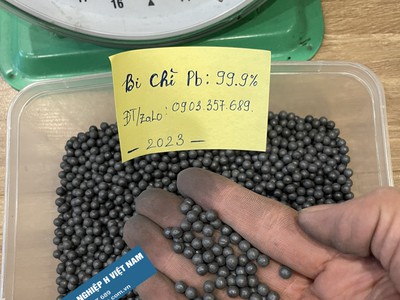 Bi chì nguyên chất 99.9 tại hà nội 1