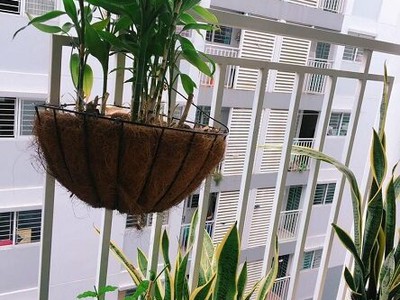Cần chuyển nhượng căn hộ e home 4, bên cạnh sài gòn 1