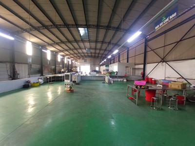 Cho thuê nhà xưởng tại Kiến An 1