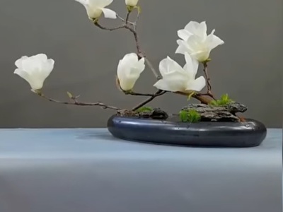 Cần tìm thuê bằng bs RHM 271
