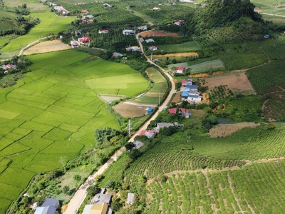 Cần tìm thuê bằng bs RHM 201
