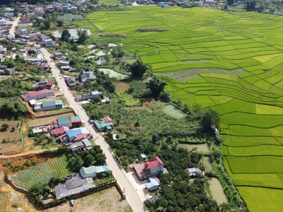 Cần tìm thuê bằng bs RHM 203
