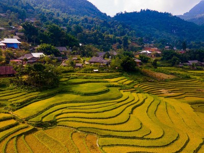 Cần tìm thuê bằng bs RHM 143