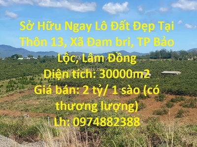 Cần tìm thuê bằng bs RHM 237