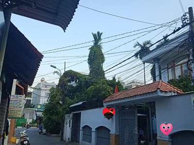Cần tìm thuê bằng bs RHM 265