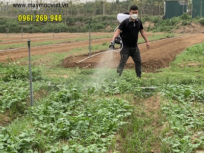 Máy phun thuốc Kawasaki TK65 diệt trừ sâu bọ cho vườn rau 0
